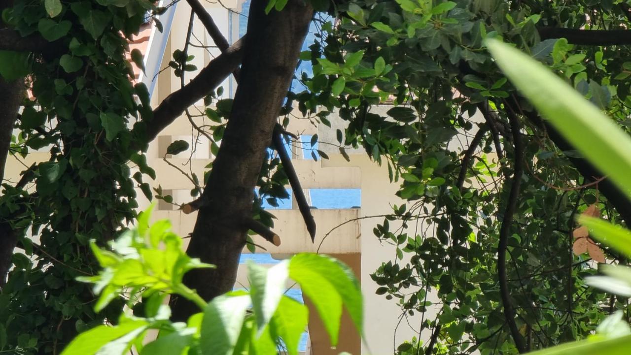 Apartment Savina Herceg Novi Zewnętrze zdjęcie