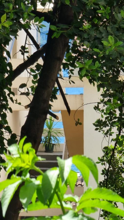 Apartment Savina Herceg Novi Zewnętrze zdjęcie